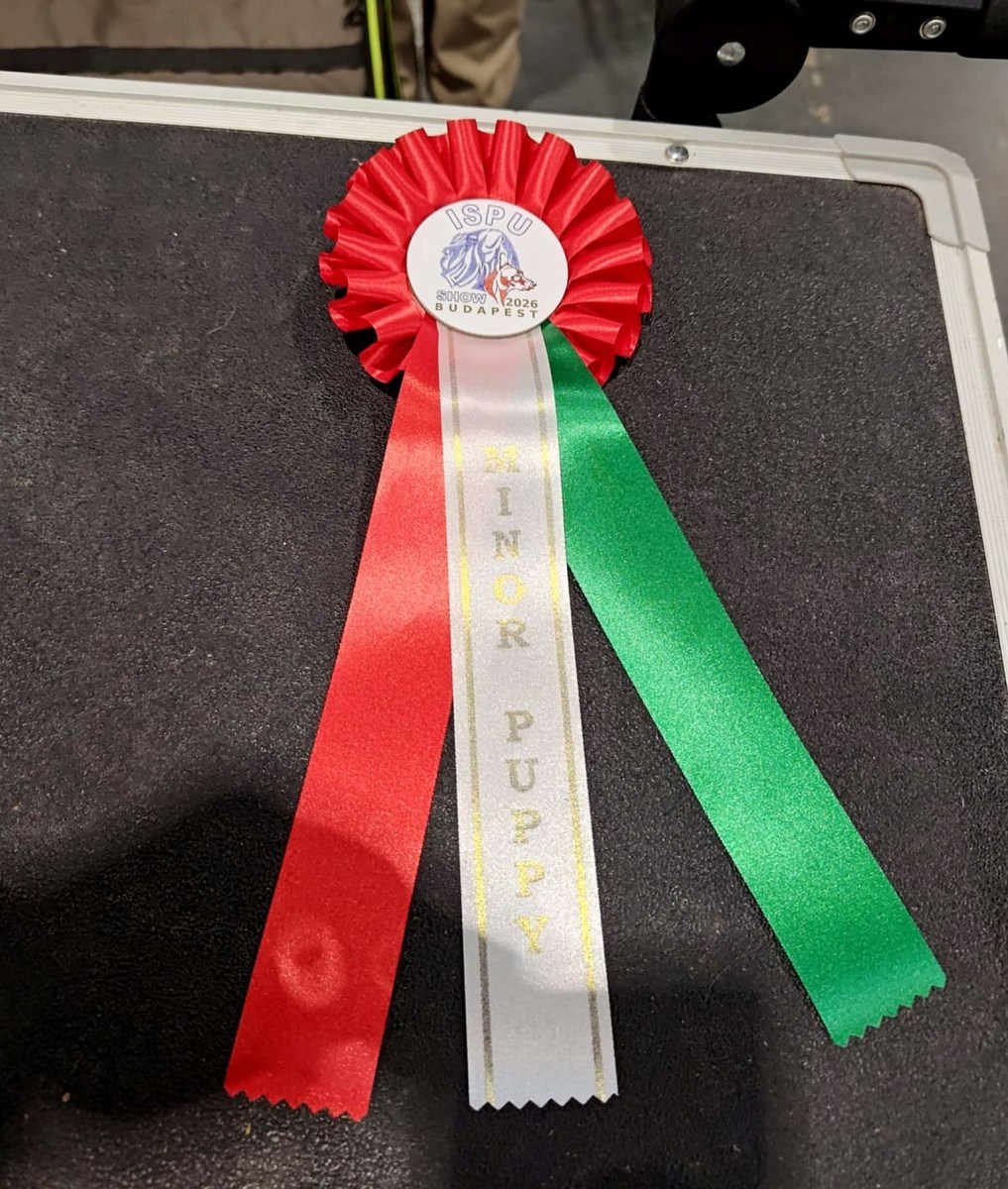 631380215_1223520476549614_1436811217415445137_n