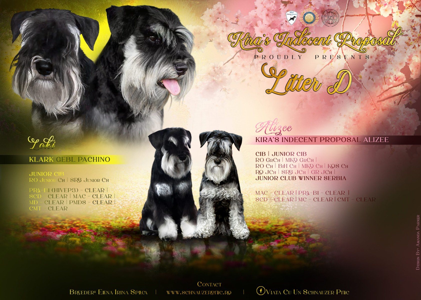 Alizee x Loki Afis Monta – JPEG