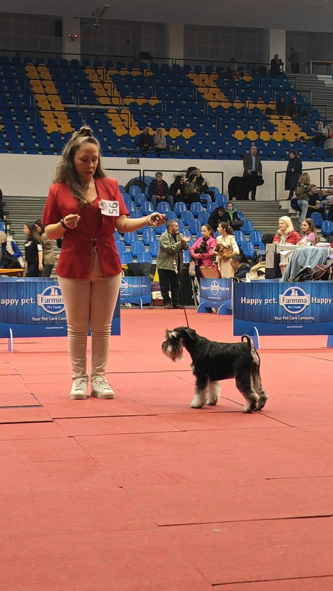 Aegon-Ploiesti-februarie-2024