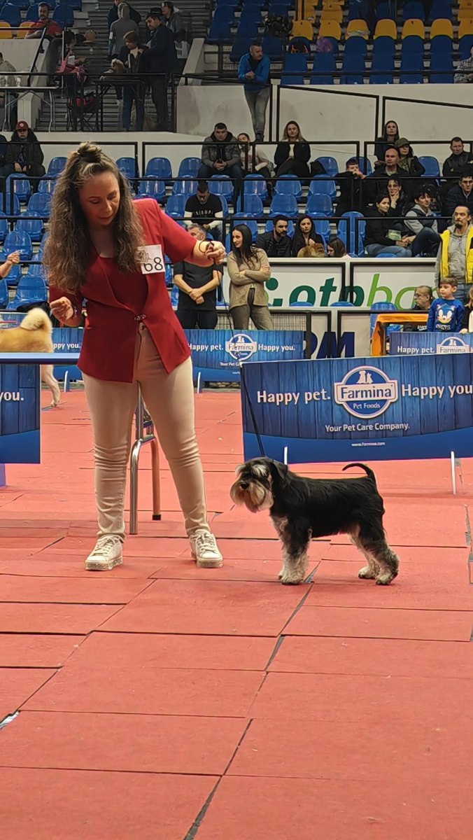 Alizee-Ploiesti-februarie-2024
