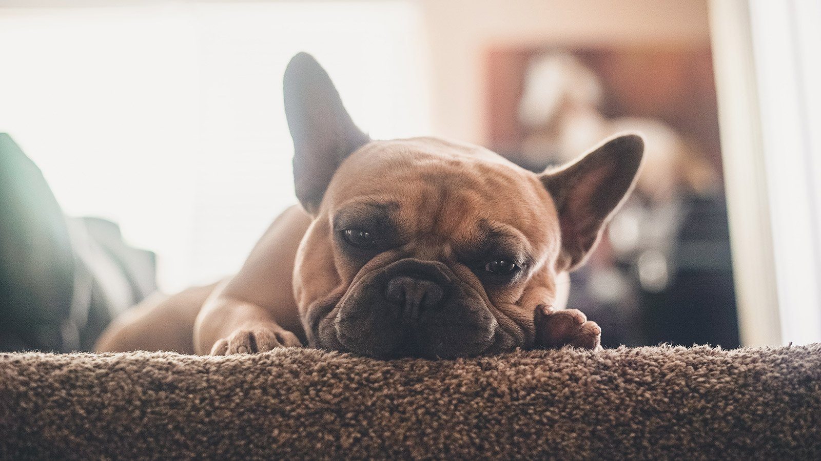 chris-benson-nm-A45PUJRA-unsplash