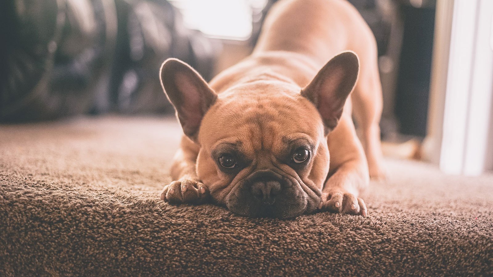 chris-benson-cs_RqXWnvFE-unsplash