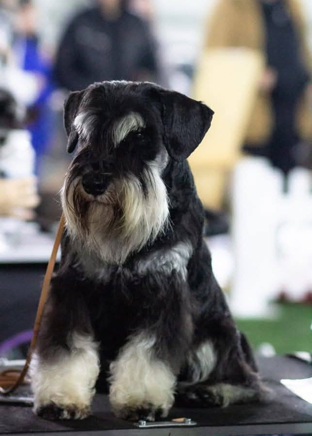 577000773_1151904833711179_6549519471393699243_n