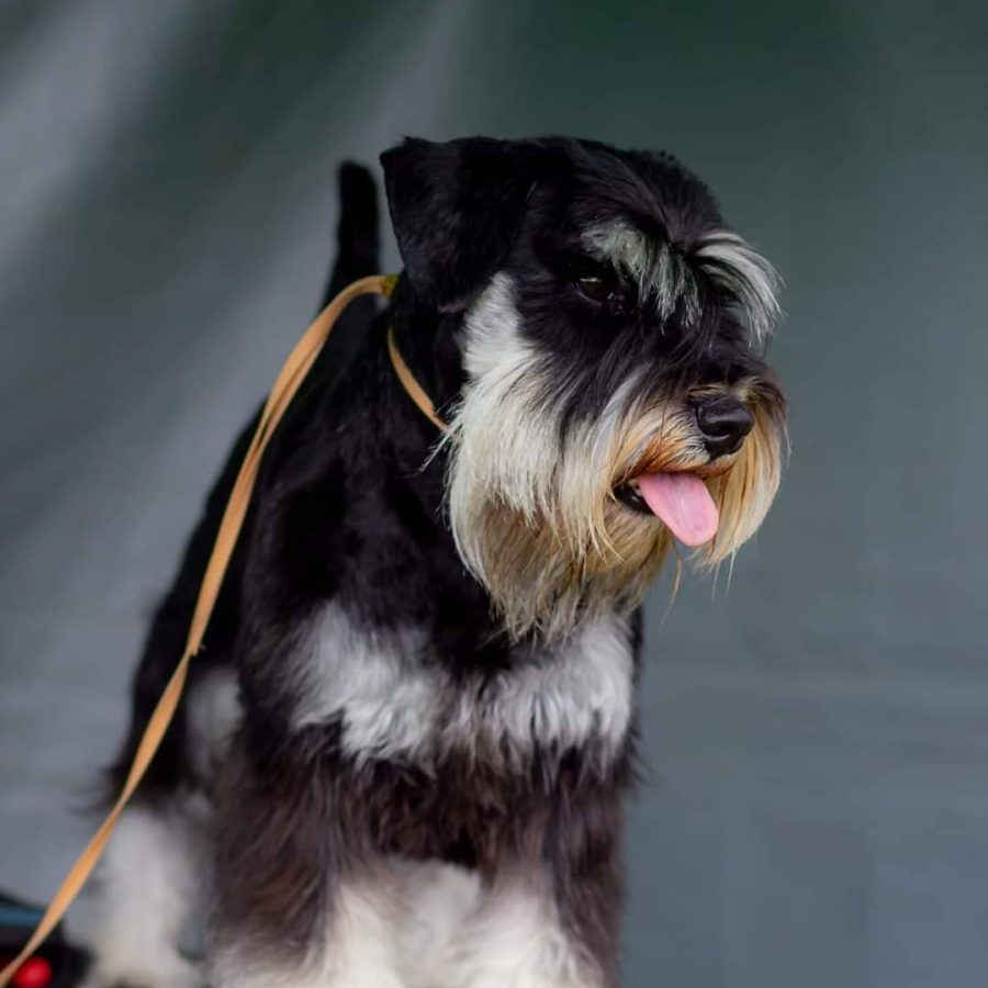 577418095_1151904803711182_7915270865374249627_n