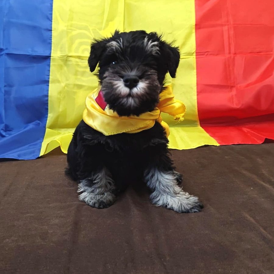 593779452_1172150688353260_4623969137263524095_n