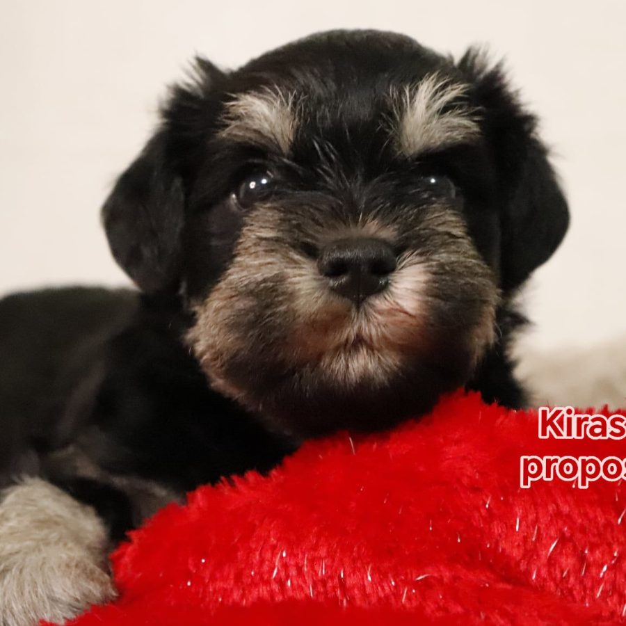 595545632_1176302134604782_2253863618363734642_n