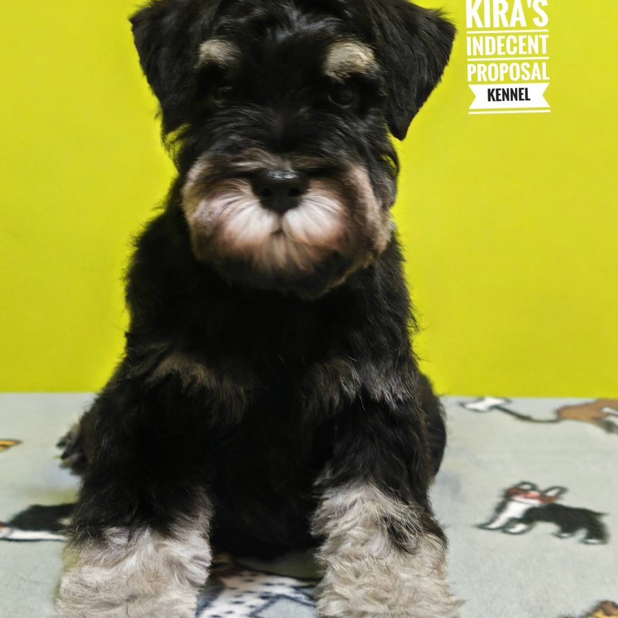 595683027_1181146770786985_2324300157334849780_n