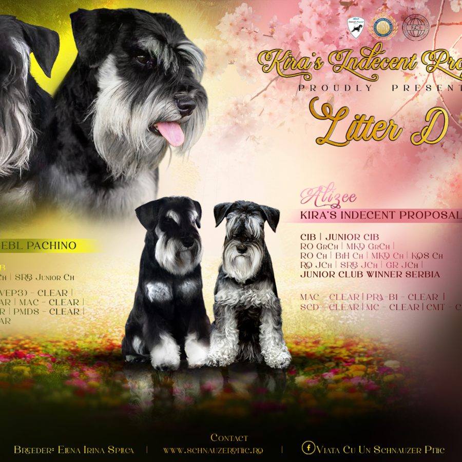 Alizee x Loki Afis Monta – JPEG